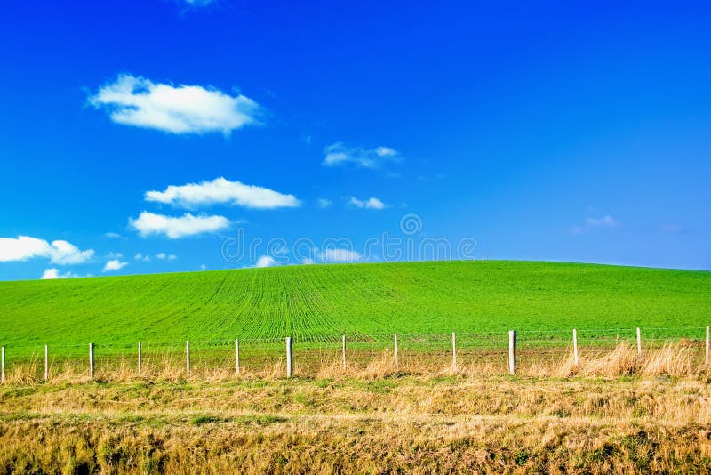 Green field and blue sky