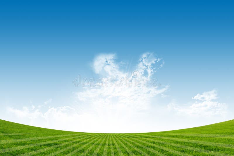 Green Field and Blue Sky