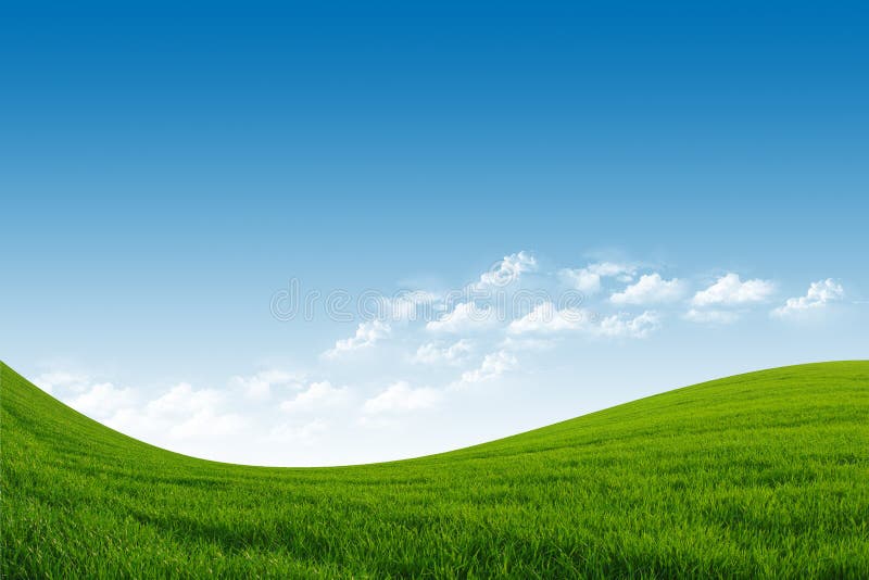 Green Field and Blue Sky stock photo. Image of horizon - 26459684