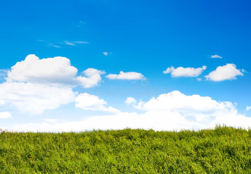 Green field with blue sky stock image. Image of summer 117215097