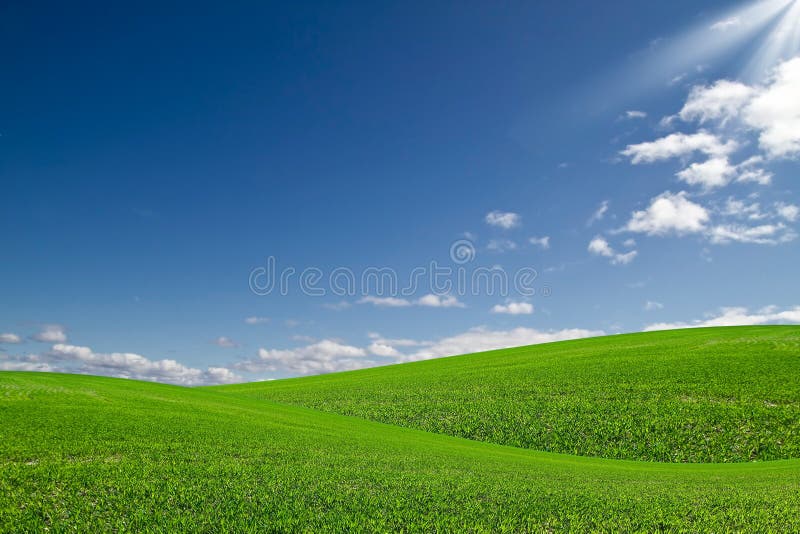 Green field and blue sky