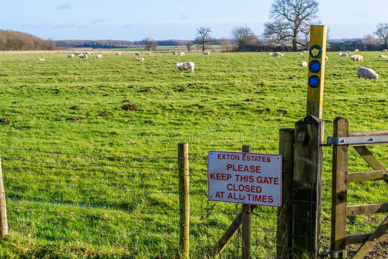 Green Field in Exton, Rutland, England Stock Photo Image of lots
