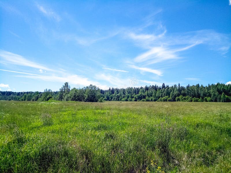 Green field with forest on the horizon and blue sky with clouds.