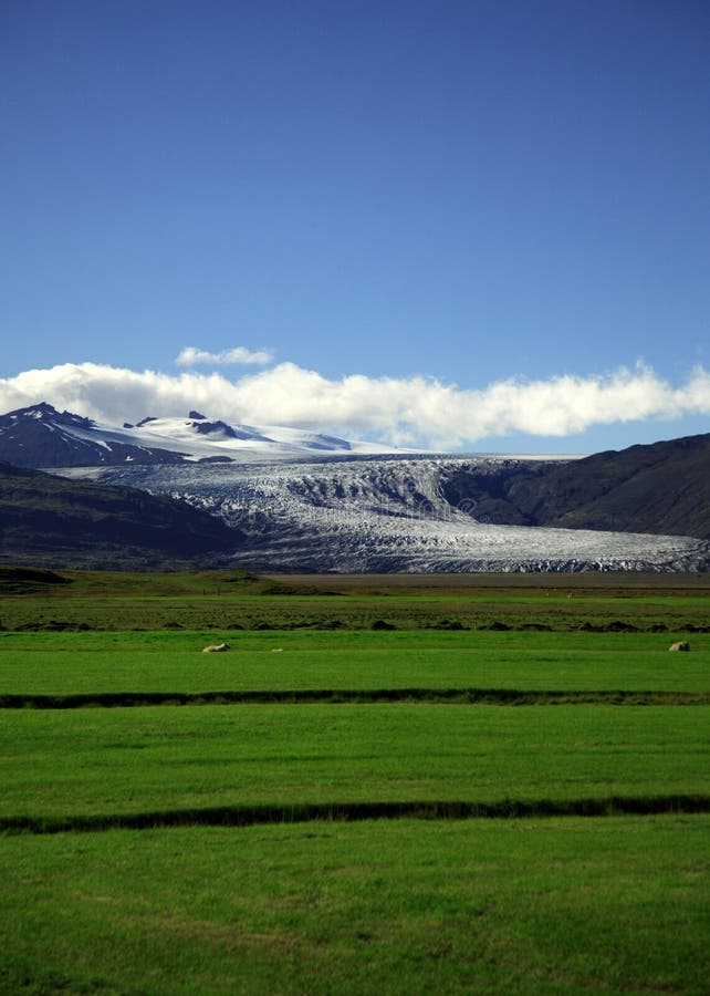 Green field and glacier