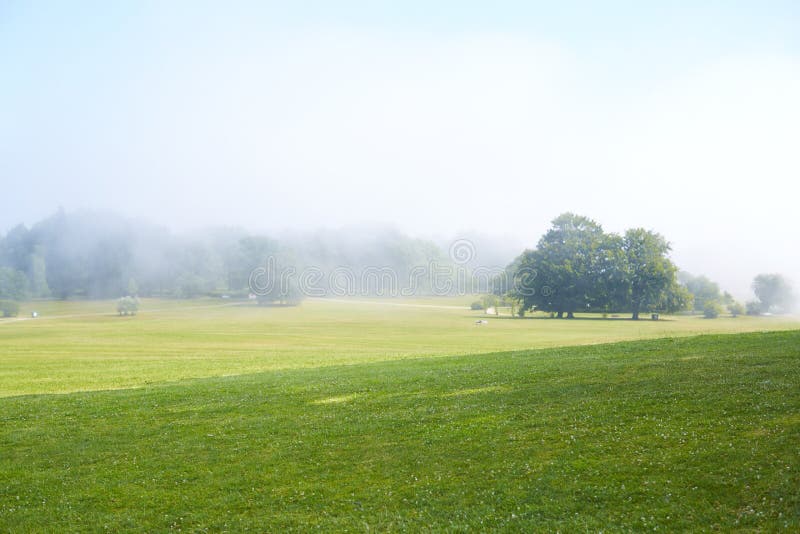 Green field with morning mist