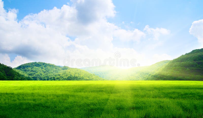 Green field and mountains