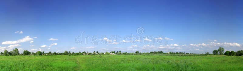 Green field panorama