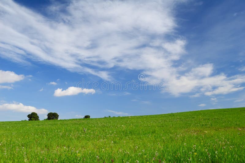 Green Field and Sky Background Stock Image Image of land, brochure