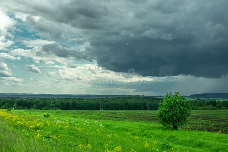 Green Field and Sky before a Thunderstorm Stock Photo Image of nature