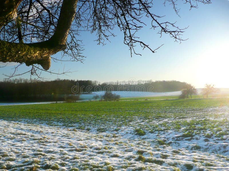 Green field and snow