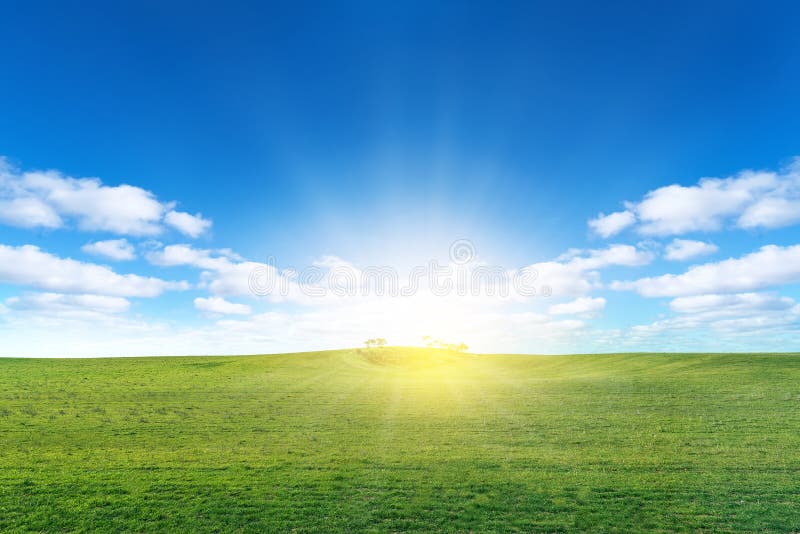 Green field with sun and blue sky with clouds