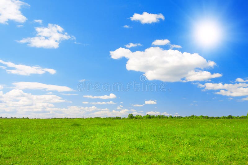 Green field under blue cloudy sky whit sun