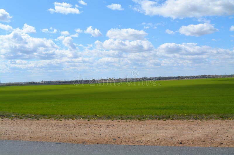 Green field with young crops and grass a dirt road royalty-vrije stock afbeelding