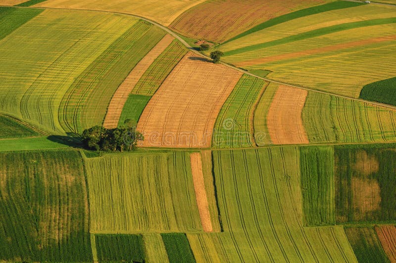 Green fields aerial view before harvest royalty free stock image