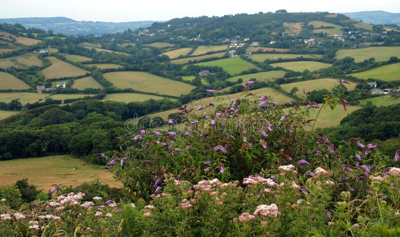 Green fields on a hill with the sea English Channel and English countryside in the background. Golden Cap on jurassic