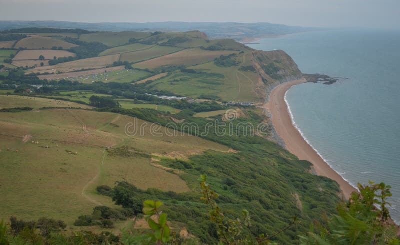 Green fields on a hill with the sea English Channel and English countryside in the background. Golden Cap on jurassic coast in