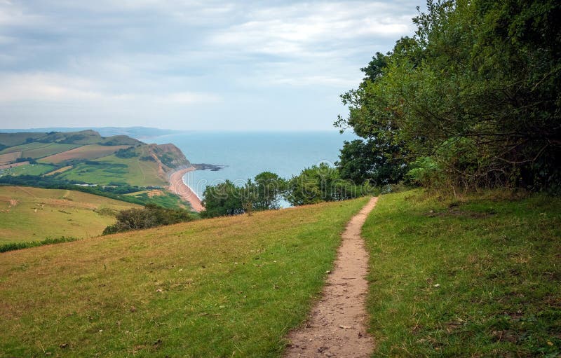 Green fields on a hill with the sea English Channel and English countryside in the background. Golden Cap on jurassic coast in