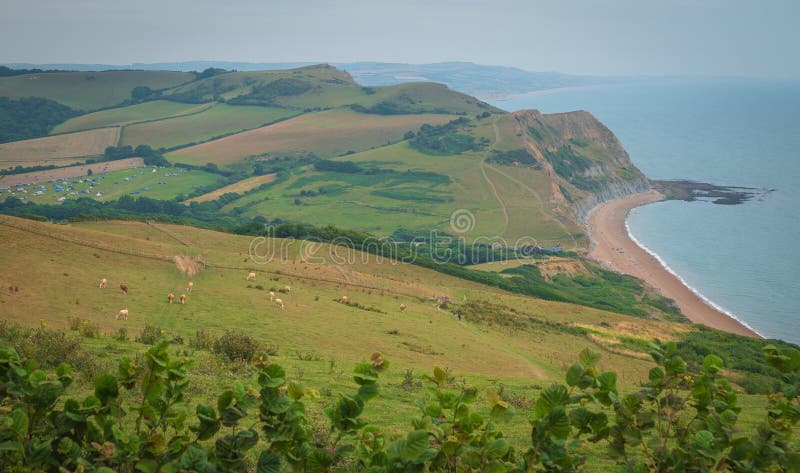 Green fields on a hill with the sea English Channel and English countryside in the background. Golden Cap on jurassic coast in