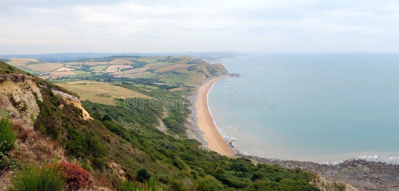 Green fields on a hill with the sea English Channel and English countryside in the background. Golden Cap on jurassic coast in