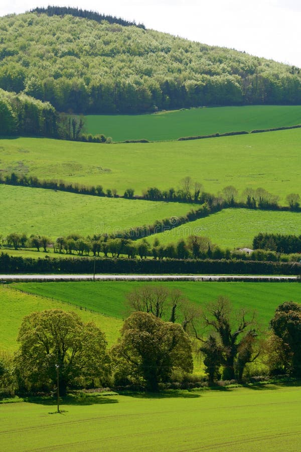 Green Fields of Ireland