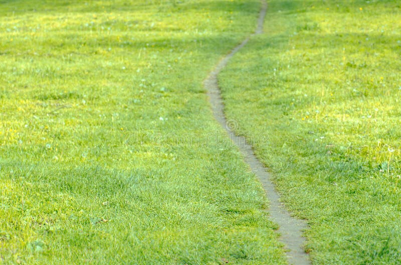 Dirt Road at a Meadow. Lane in Meadow Stock Image Image of forest