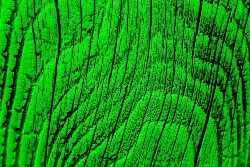 Green Filter Realistic Natural Wood Texture Background Stock Photos