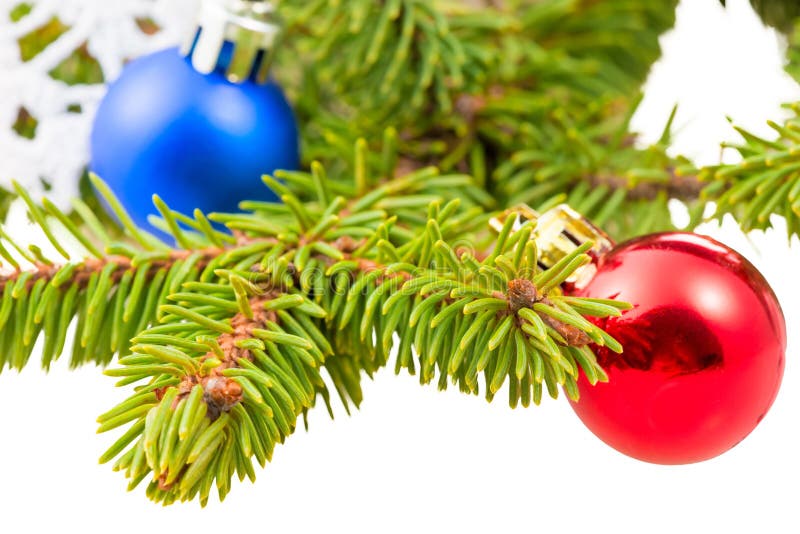 Green fir branches close shots royalty free stock photo