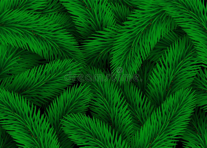 Green Fir Tree Branches. Design Christmas Background Texture Abstract Illustration vector illustration