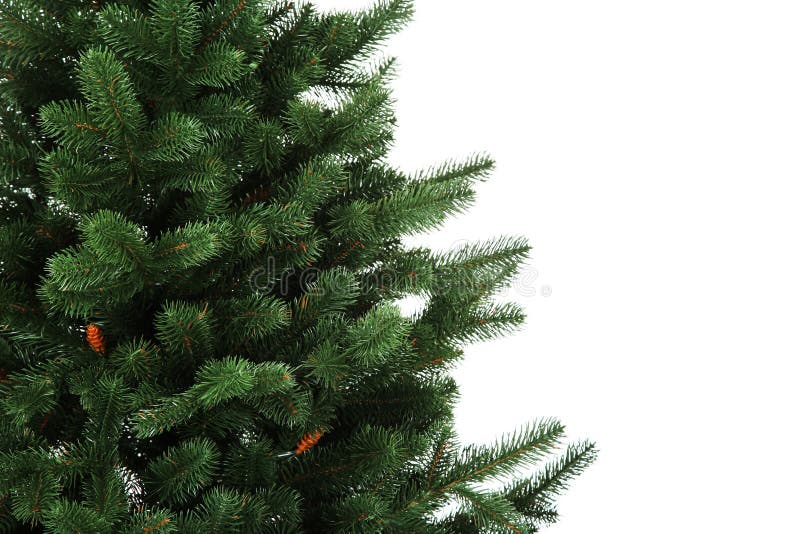 Green fir tree stock image. Image of design, decorative 133611021