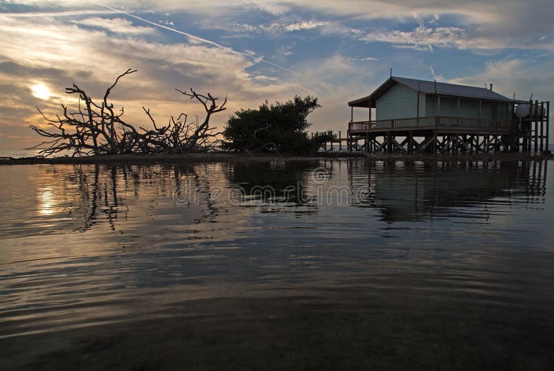 Por la tarde atardecer a través de verde casa en pino isla sonido.