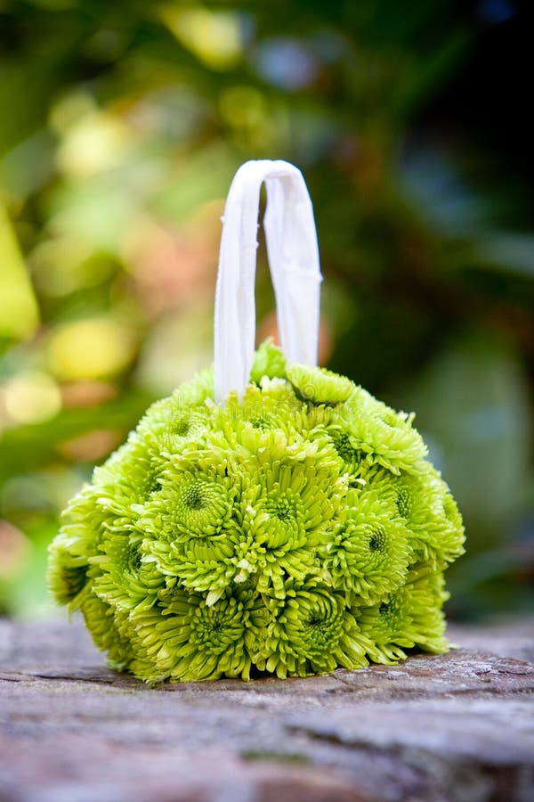 Green flower ball stock photo. Image of floral, flower 24175756