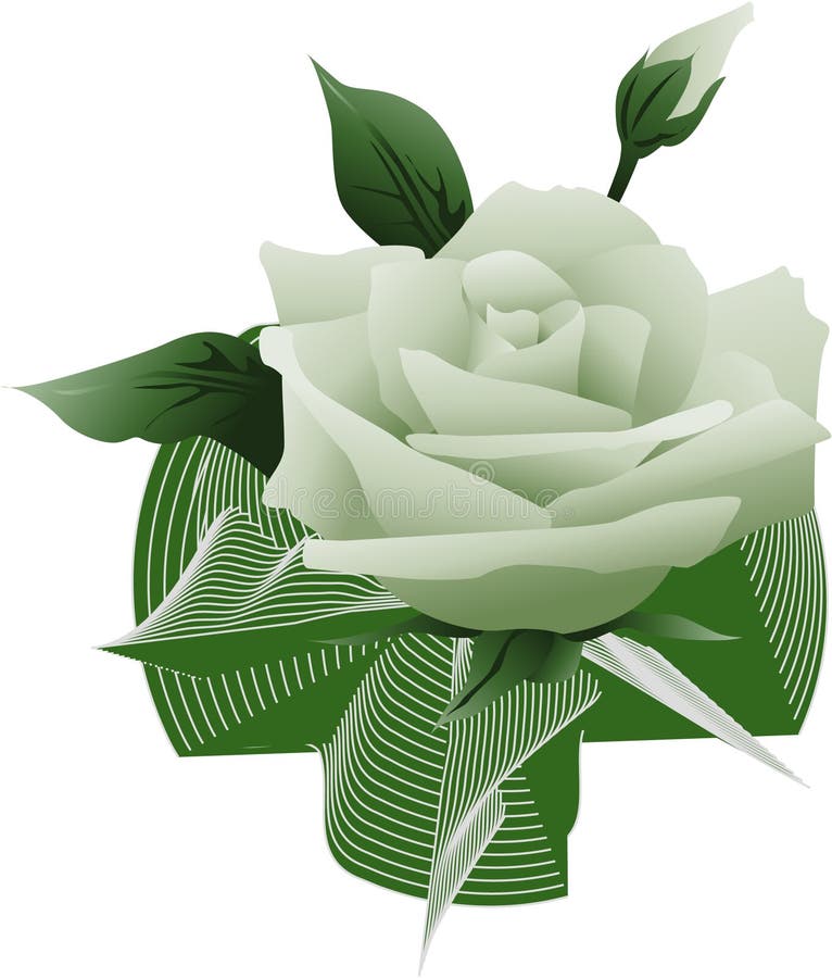 Green flower rose