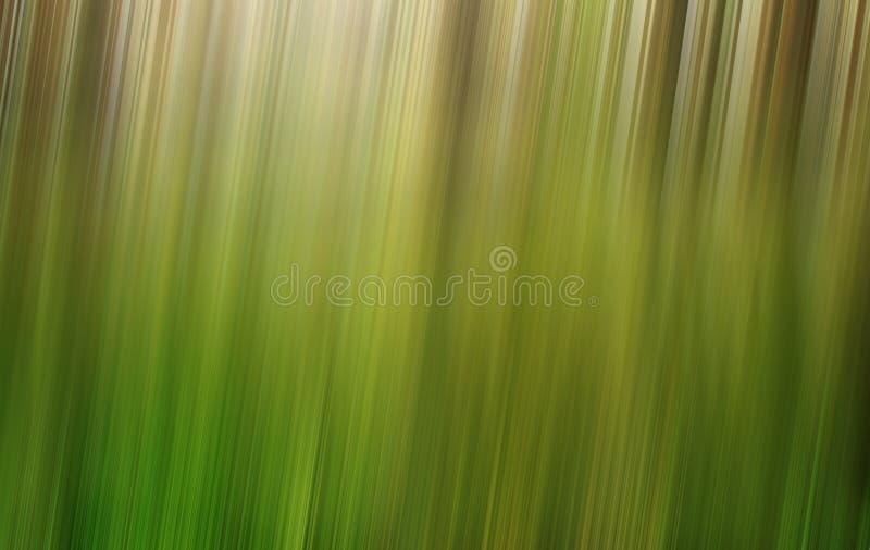 Green Forest Blur Background Stock Image Image of background