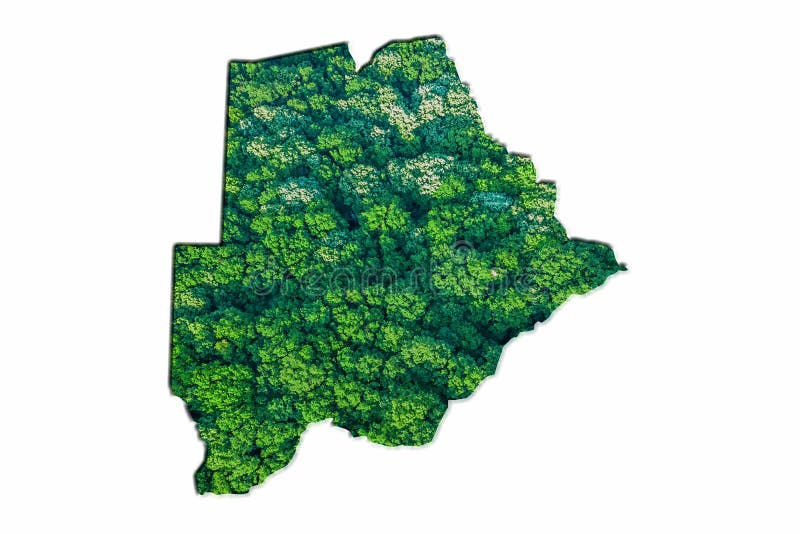 Green Forest Map of Botswana, on white background. Botswana political map stock images, royalty-free photos and pictures