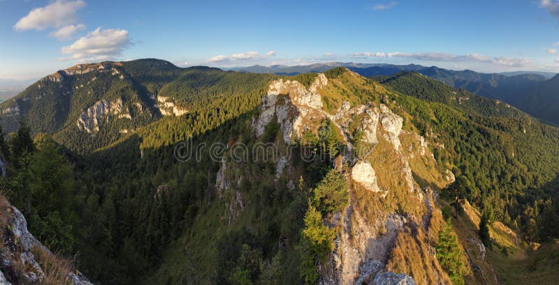 Zelený les v horské panorama