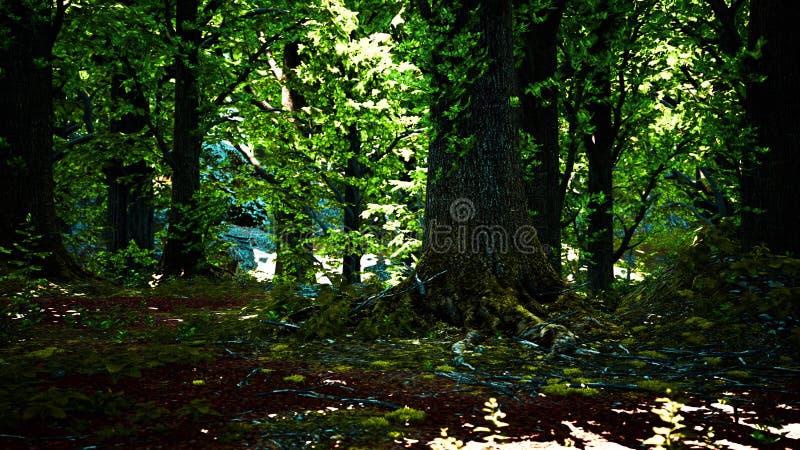 Green forest scenery with the sun casting beautiful rays through the foliage stock illustration