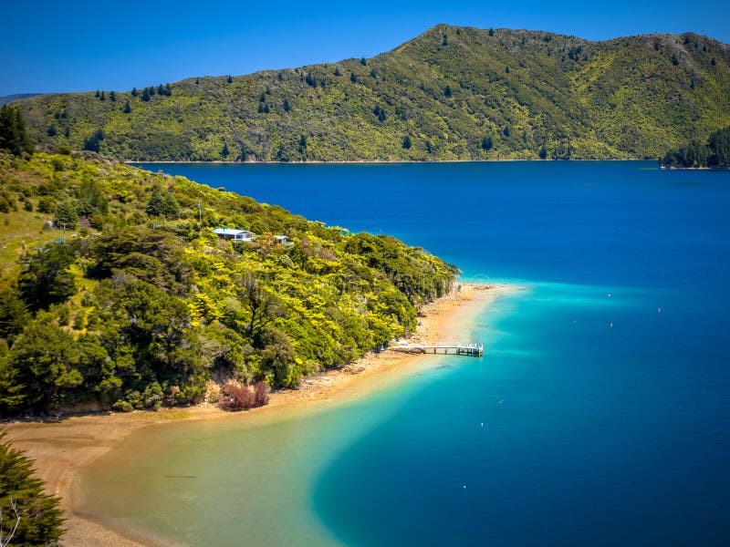 Green forest and turquoise blue water in Marlborough sounds royalty free stock image Green forest and turquoise blue water in Marlborough sounds royalty free stock image