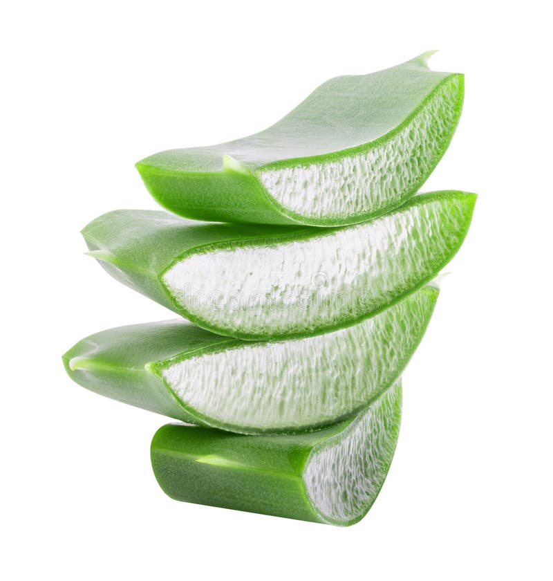 Aloe Vera isolated. Cocogrm Aloe Vera. Green aloe