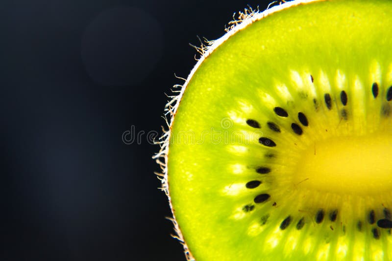 Green fresh kiwi fruit sliced piece stands backlit, healthy diet, new year resolution concept stock photo Green fresh kiwi fruit sliced piece stands backlit, healthy diet, new year resolution concept stock photo