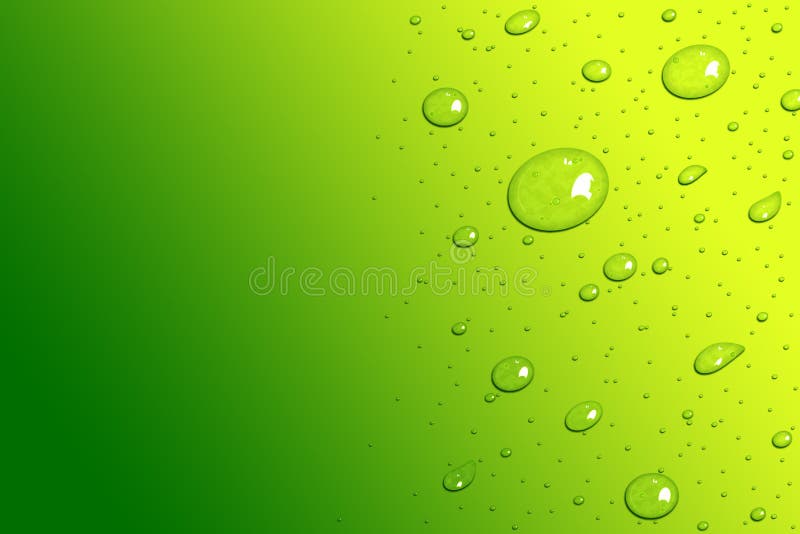Green Fresh and Yellow Water Drops Template Background Design Stock