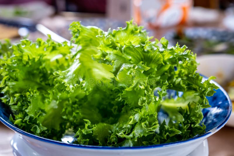 Green Frillice Iceberg, Cos and Red Coral Lettuce Stock Photo - Image ...