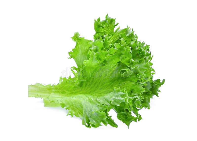 Green Frillice Iceberg Lettuce Isolated On White Stock Photo - Image of ...