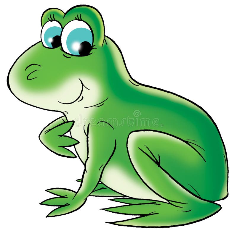 Green frog vector illustration