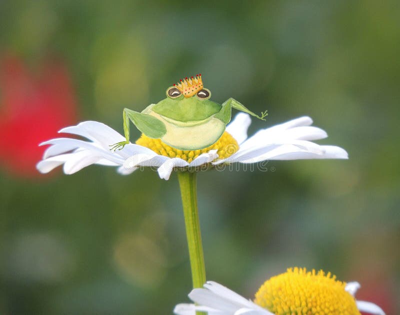 A green frog prince with a golden crown sits on a summer daisy stock photography A green frog prince with a golden crown sits on a summer daisy stock photography
