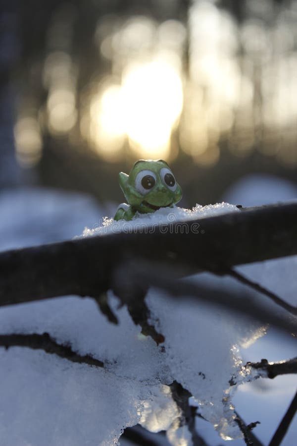 Frog on the snow stock image. Image of sits, snow, condition 13686355