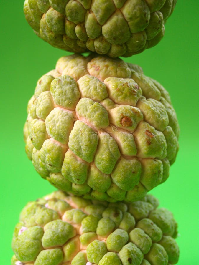 Green fruit 4 stock photo. Image of fruity, nature, macro 1214334