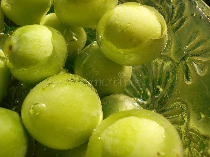 Green fruits royalty free stock images