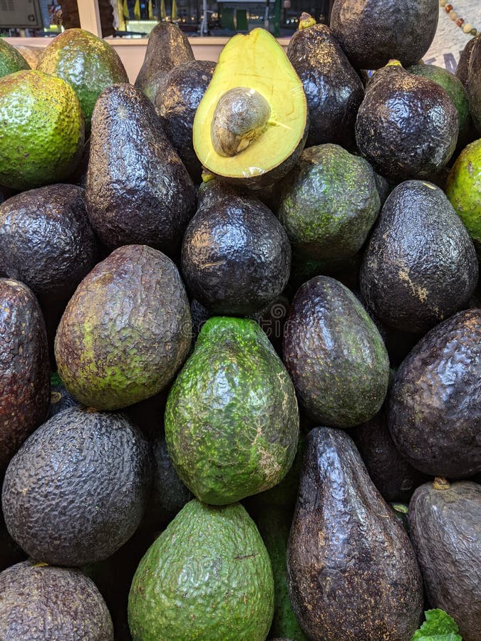Green Fruits Known As Avocado Stock Photo Image of soursop, fruits