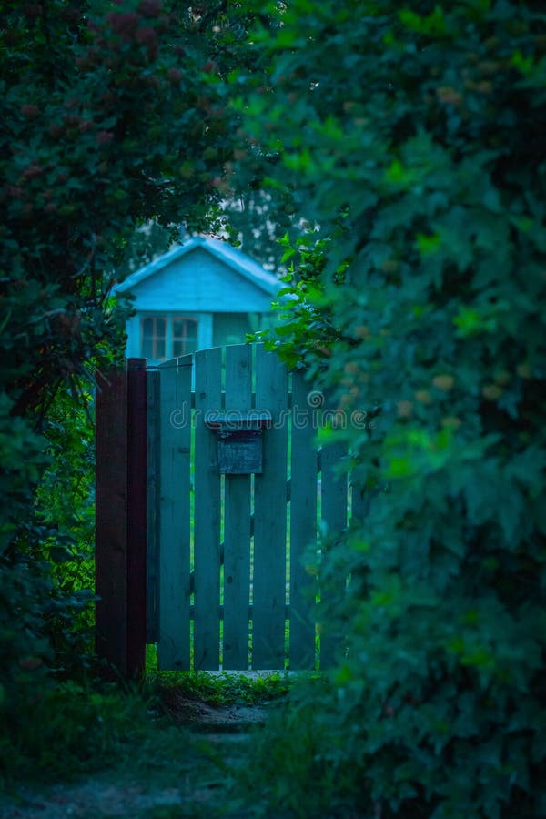 Green garden gate stock photo. Image of tree, jungle 263510420