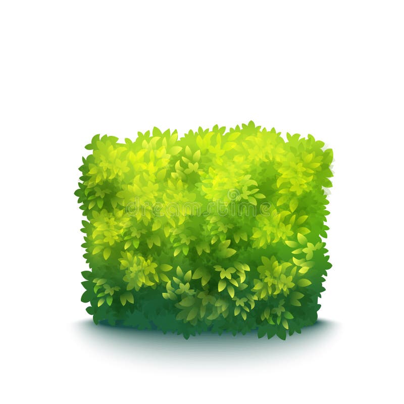 Hedge Stock Illustrations – 9,657 Hedge Stock Illustrations, Vectors